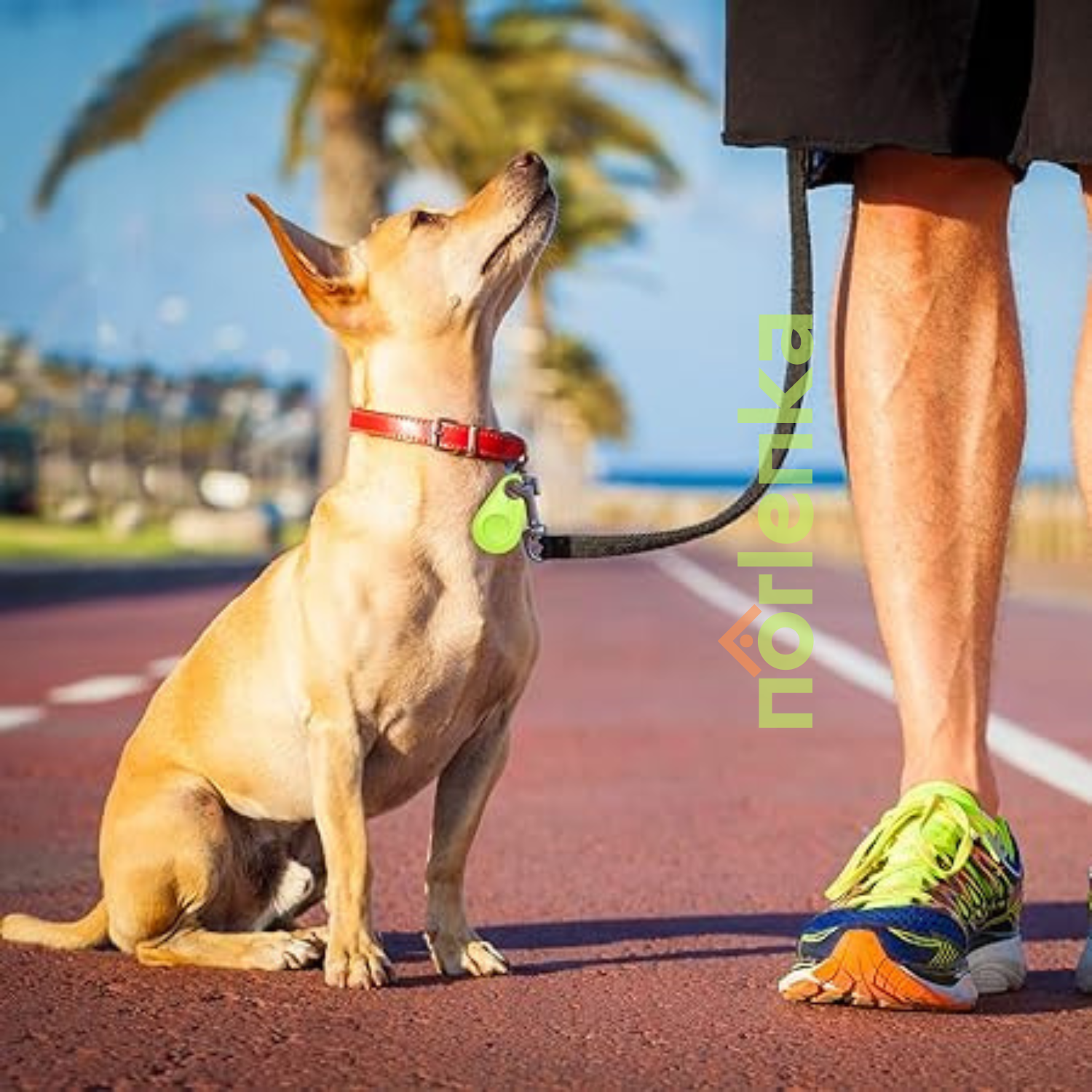 DogCatFri™ PetTracker - Bluetooth Kjæledyr Trådløs Sporer