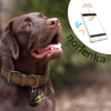 DogCatFri™ PetTracker - Bluetooth Kjæledyr Trådløs Sporer