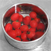 Globetrek° SinkStrainer 1+1 GRATIS: Rustfritt Filter Svan Stil Kumfilter