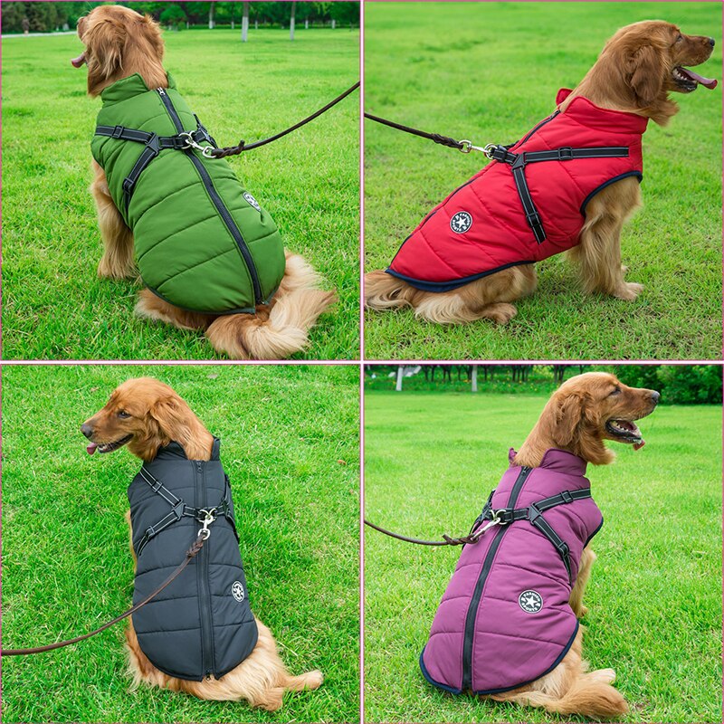 DogFri™ DogJacket: Vanntett Vinter Hund Jakke