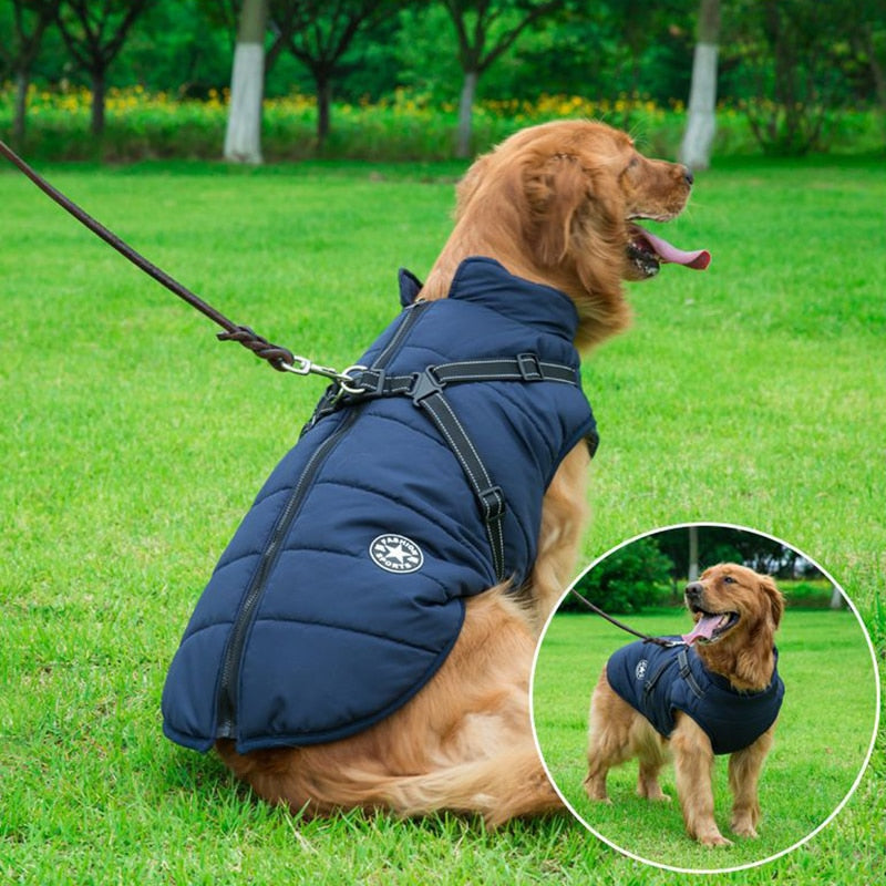 DogFri™ DogJacket: Vanntett Vinter Hund Jakke