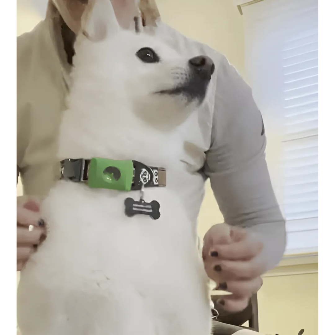 DogCatFri™ Anti-FleaPendant 1+1 GRATIS: Anti-Flått Anti-Loppe Anhengbeskyttelse