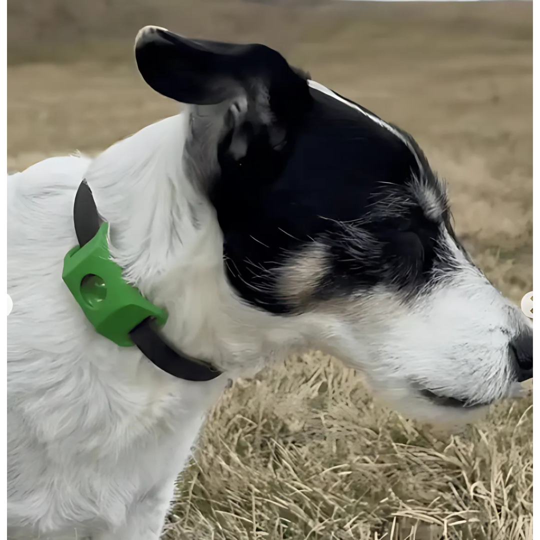 DogCatFri™ Anti-FleaPendant 1+1 GRATIS: Anti-Flått Anti-Loppe Anhengbeskyttelse