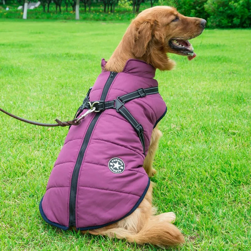 DogFri™ Jacket - Vanntett Vinterjakke Med Innebygd Sele