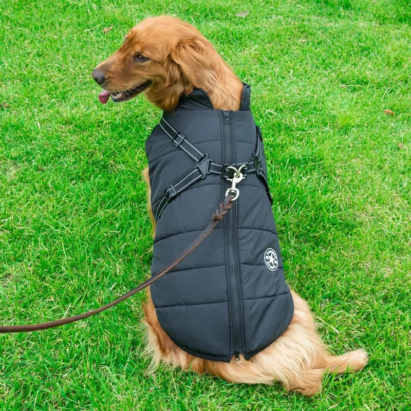 DogFri™ Jacket - Vanntett Vinterjakke Med Innebygd Sele