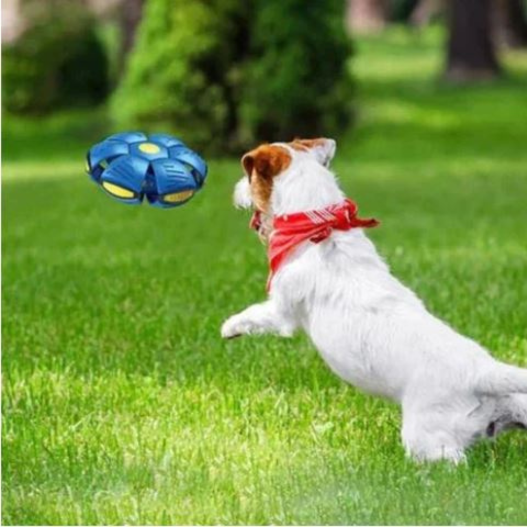 DogFri™ DiscBall 1+1 GRATIS - Doggy Disc Ball Leketøy for Kjæledyr