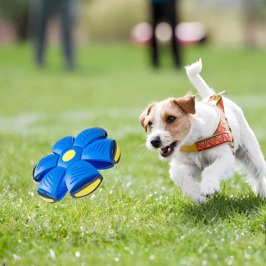 DogFri™ DiscBall 1+1 GRATIS - Doggy Disc Ball Leketøy for Kjæledyr