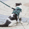 DogCatFri™ Leash - Anti-Break Away Vest Sele Og Bånd-Sett